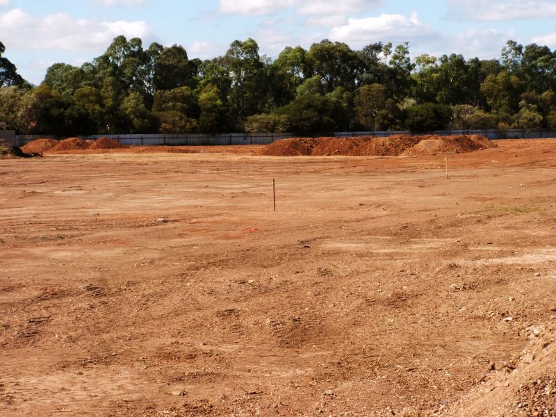 Completed Grading Site