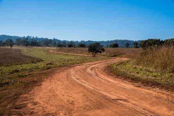 Dirt Driveway Repair in Aurora