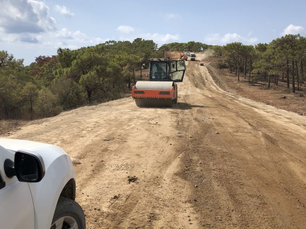 Cost of Driveway Grading in Aurora