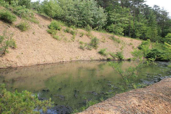Cost of Pond Erosion Repair in Aurora