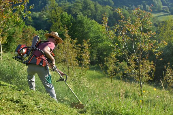 Cost of Slope Trimming in Aurora